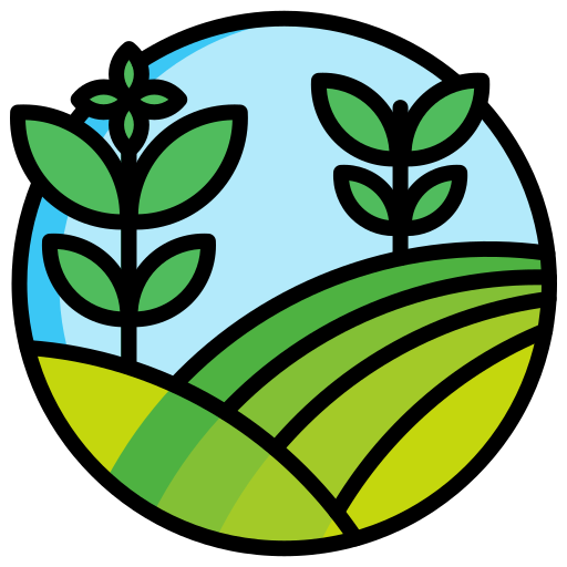 YellowberryAgro
