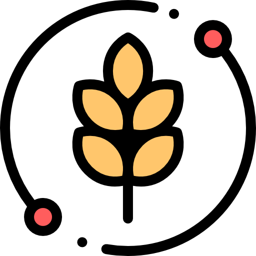 YellowberryAgro
